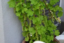 DSC_0182.2.webp