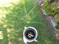Bilda004.webp