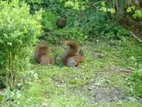 image.webp
