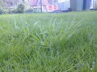 Foto0219.webp