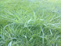 Foto0220.webp