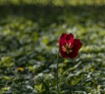 IMG_8637-3.jpg