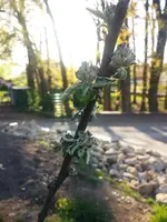 20160503_192442.webp