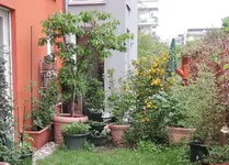 DSCN5251.2.webp