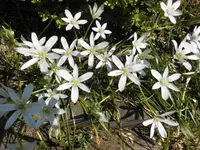 Bilda013.webp