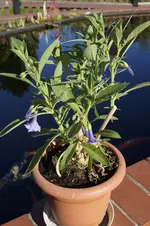 _DSC0293.webp