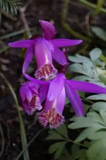 _DSC0310.webp