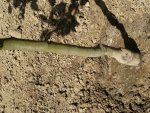 20160504_132105.jpg