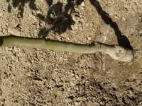 20160504_132105.webp