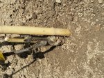 20160504_132215.jpg