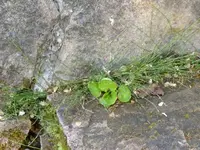 P1020650.webp