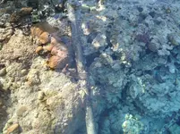 SAM_0342.webp