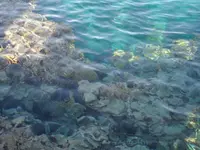 SAM_0348.webp