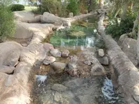 SAM_0635.webp
