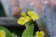 comp_DSC04815.webp