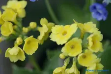 comp_DSC04818.webp