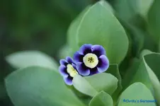 comp_DSC04820.webp