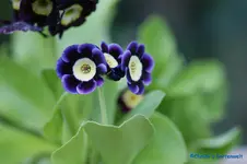comp_DSC04822.webp