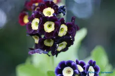 comp_DSC04823.webp