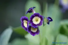 comp_DSC04825.jpg