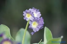 comp_DSC04826.webp
