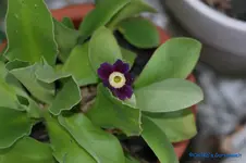 comp_DSC04827.webp