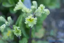 comp_DSC04834.webp