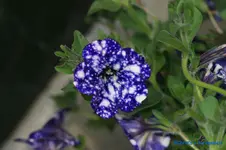 comp_DSC04829.webp