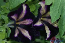 comp_DSC04831.webp