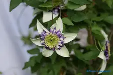 comp_DSC04830.webp