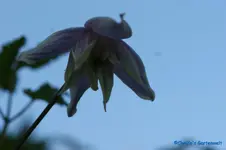 comp_DSC04839.webp