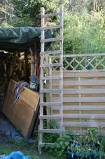 comp_DSC04840.webp