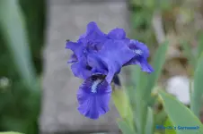 comp_DSC04836.webp