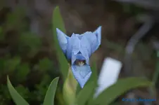 comp_DSC04837.webp