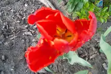 SAM_1144.webp