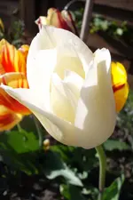 SAM_1148.webp