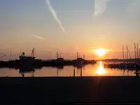 011.webp