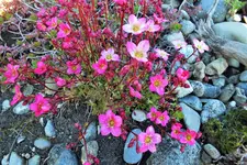 DSCF5733 (2).webp