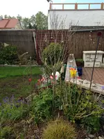 image.webp