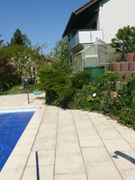 k-P1100369.webp