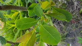 20160505_174337.webp