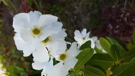 20160505_174333.webp
