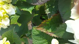 20160505_164436.jpg