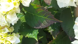 20160505_164438.webp