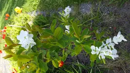 20160505_174319.webp
