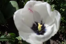 SAM_1154.webp