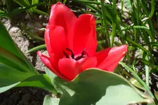 SAM_1155.webp