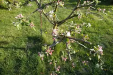 SAM_1166.webp
