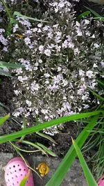 5.5.16 004.webp