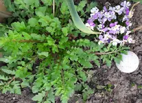 5.5.16 010.webp